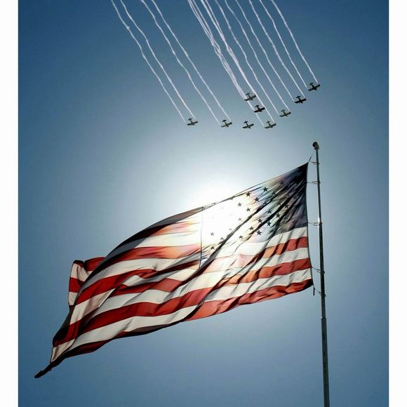 Meet your Posher, Krystle - Picture 1 of 1